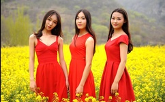 护士囗交14p欧美图片